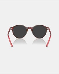 Ray-Ban - Bernard