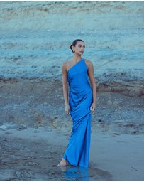 CATHERINE FERRARO - Alexis One Shoulder Gown