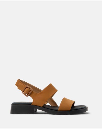 Medium Brown