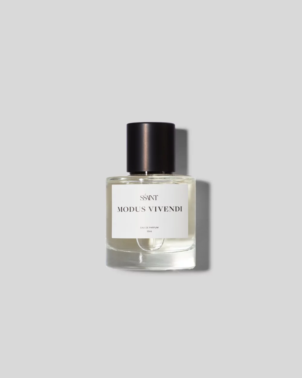 Modus Vivendi
