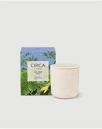 CIRCA - Cucumber & Dill Soy Candle