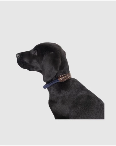 Mog & Bone - Rope & Leather Dog Collar- Navy