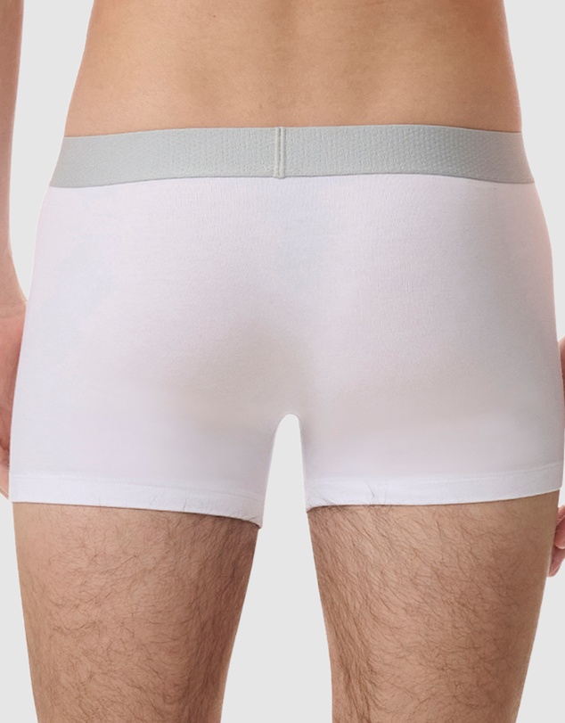 adidas Sportswear - 3 Pack Active Flex Cotton Body Trunk Underwear