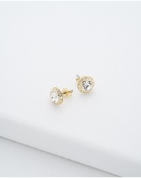 Ted Baker - Soletia Solitaire Sparkle Crystal Stud Earrings