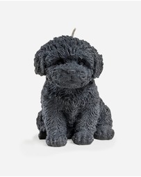 Love Ally - Cavoodle Candle