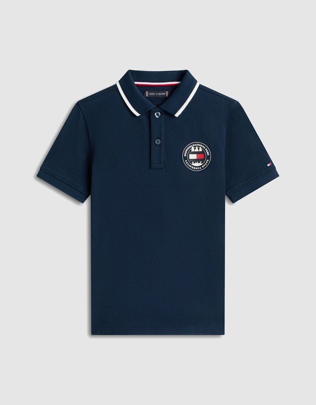 Tommy Hilfiger - Graphic Short Sleeve Polo - Teens