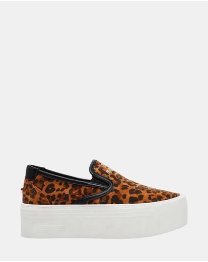 CLIFFTOP-L LEOPARD