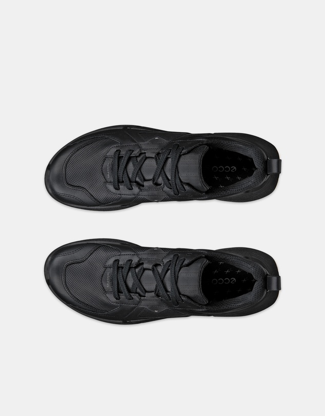 ECCO - ECCO Biom 2.2