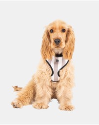 Mog & Bone - Neoprene Dog Bundle- Latte Hampton Stripe