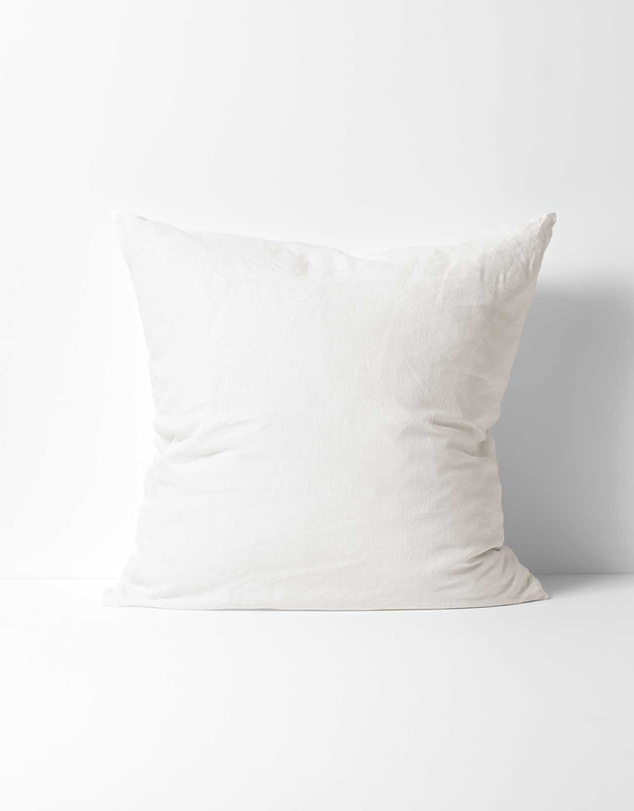 Aura Home - Emile Linen European Pillowcase
