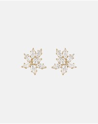 Stephanie Browne - Aster Earrings