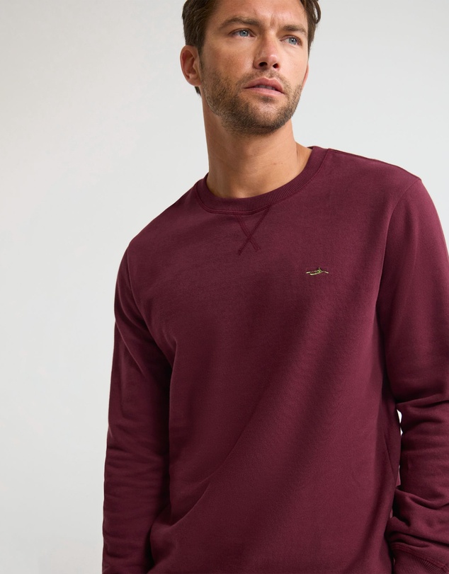Oxford - Leo Organic Cotton Sweatshirt