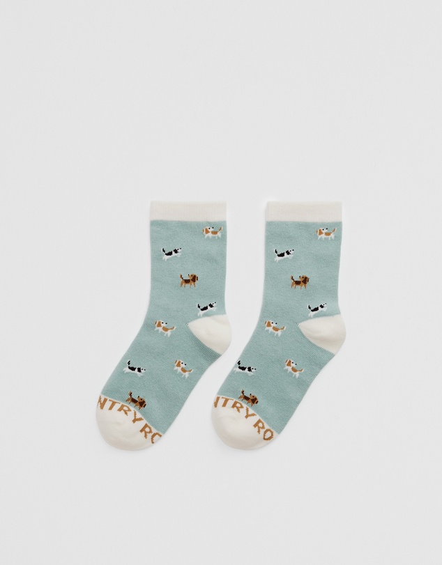 Country Road - Dog Sock