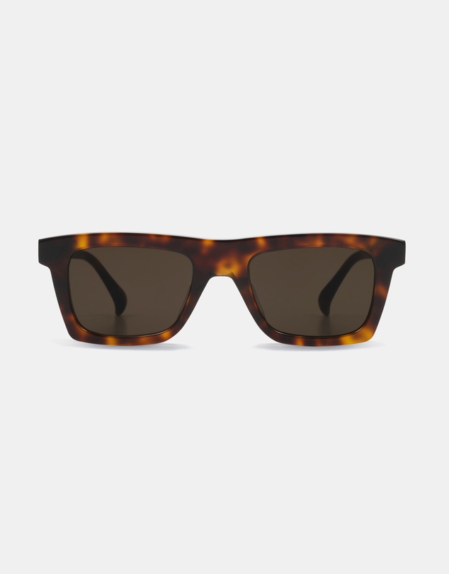 AM Eyewear - Steeb Large