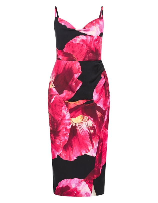 City Chic - Mariana Print Dress