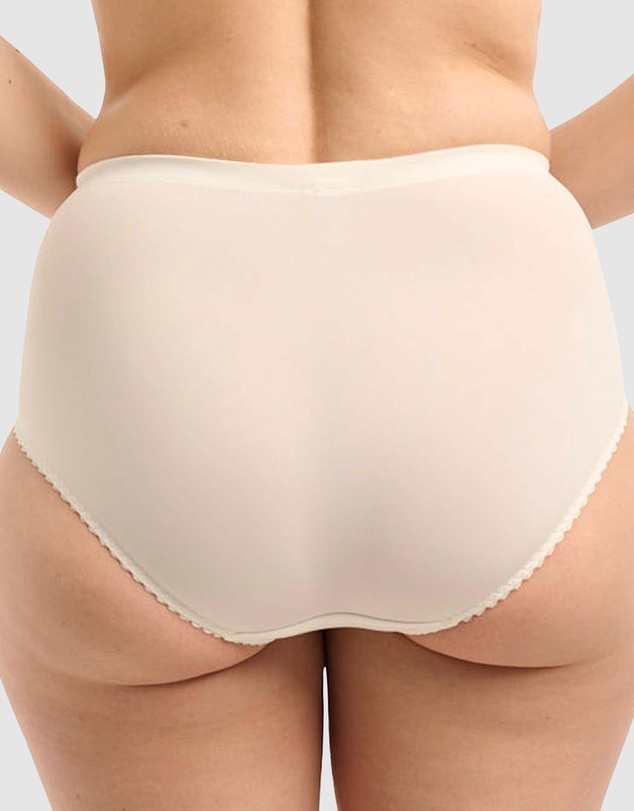 Sans Complexe - Narcisse Plus Size High Waist Shaping Brief
