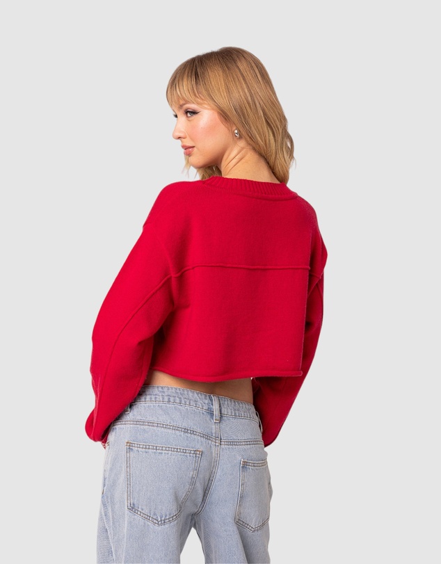 EDIKTED - Varsity Cropped Sweater