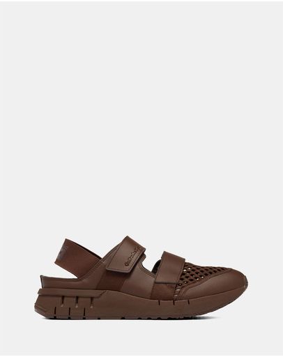 Dark Brown/Dark Brown