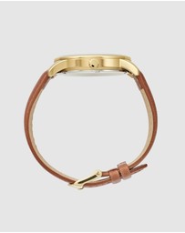 Maxum - Maxum x Taylor Steele - Green Dial, Gold Tone Case & Brown Leather Band