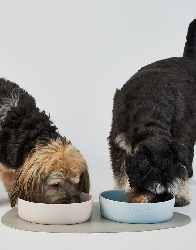 Lilly + Dash - Dog Food Water Bowl & Insert Combo