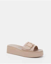 Novo - Beatific Wedges