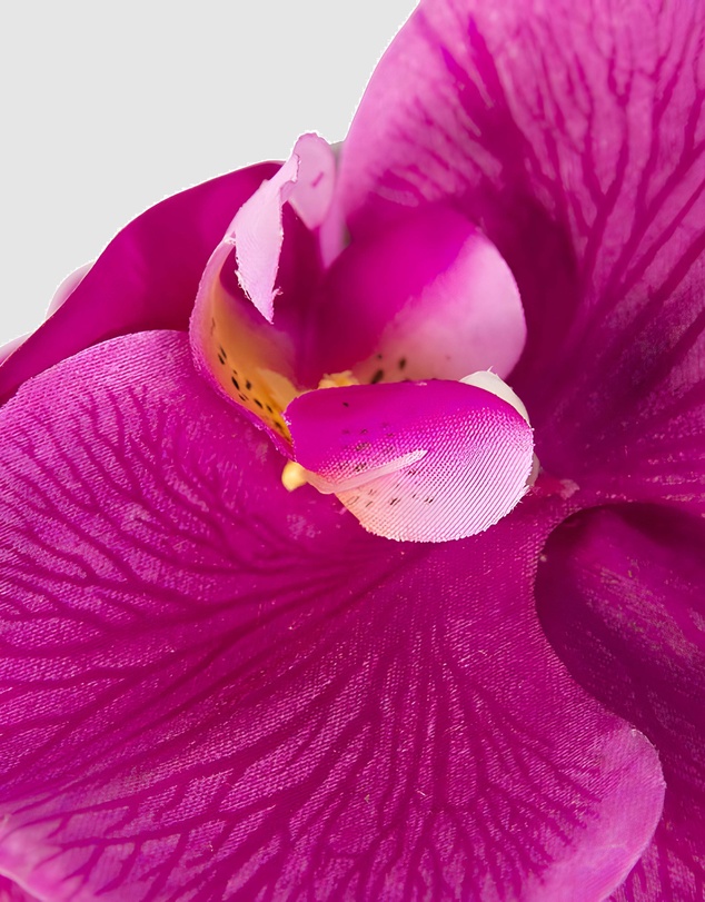 Max Alexander - Fuchsia Orchid Racing Fascinator