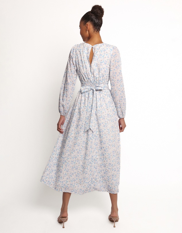 Petal & Pup - Roman Long Sleeve Maxi Dress - Blue Floral