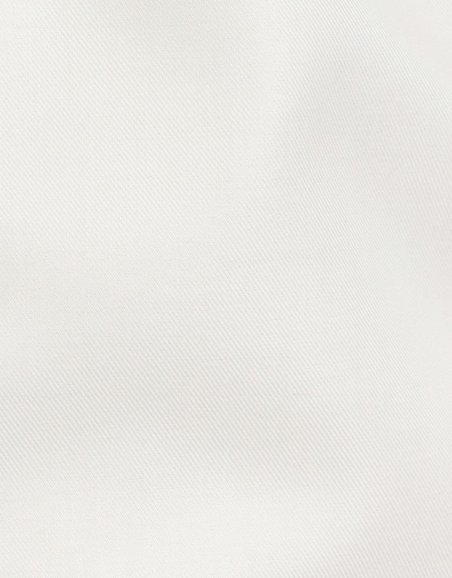 Tarocash - Infinite Non Iron Shirt