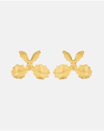 Stephanie Browne - Vanda Earrings