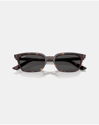 Ray-Ban - RB4456