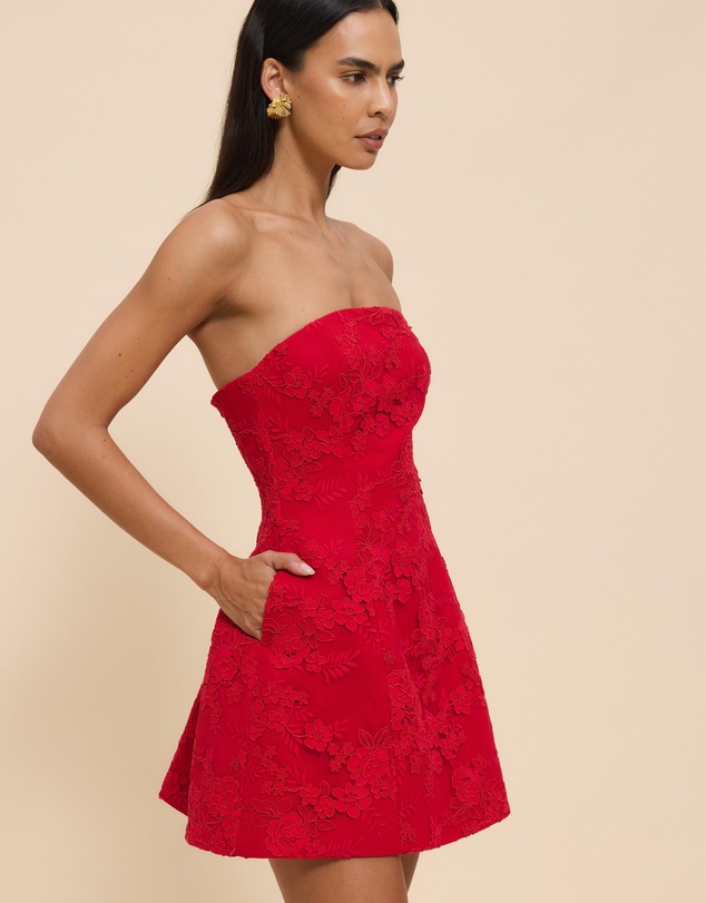 CHANCERY - Lani Strapless Structured Lace Mini Dress