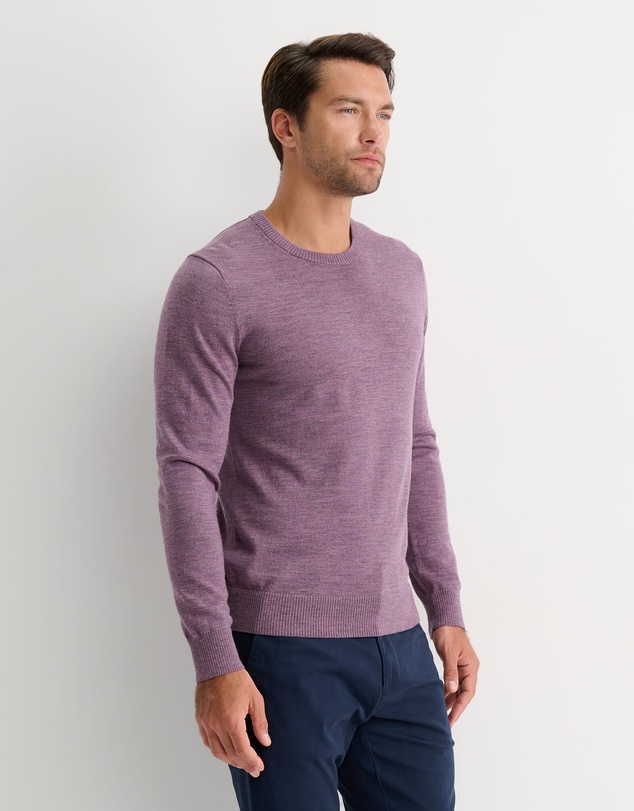 Sportscraft - Merino Crew Neck Knit