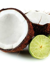 Silk Oil of Morocco - Silk Oil of Morocco Argan Body Cream - Coconut & Lime