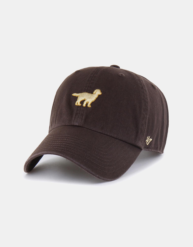 47 - Clean Up Icon Golden Retriever Cap