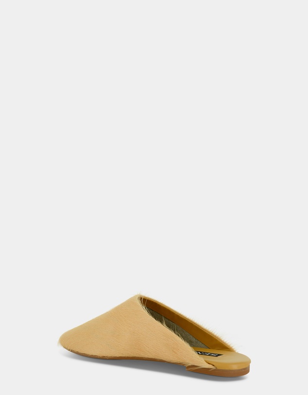 Senso - Caelan