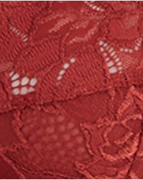 Sans Complexe - Arum Underwired Balconette Lace Bra