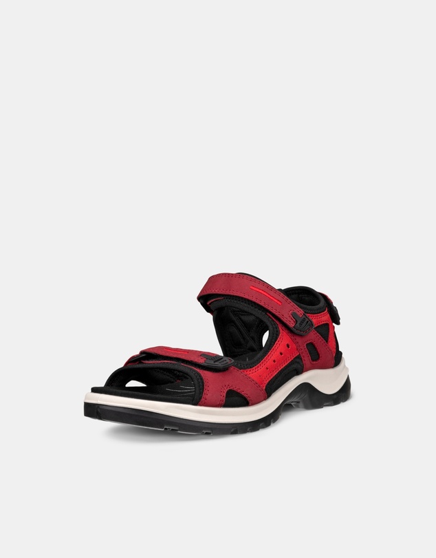 ECCO - ECCO Offroad