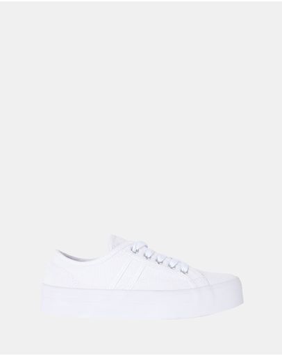 WHITE CANVAS