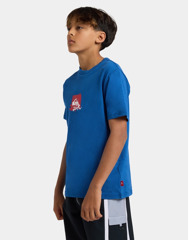 Quiksilver - Boys 8 to 16 Yg Impaired Box T-Shirt