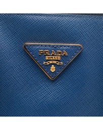 Pre-Loved by Azura Reborn - Pre-Loved Medium Bicolor Saffiano Lux Promenade Satchel