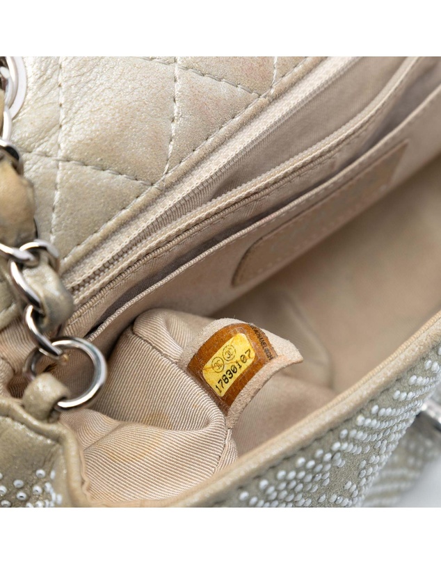 Pre-Loved by Azura Reborn - Pre-Loved Mini Rectangular Iridescent Calfskin Strass Embellished Single Flap