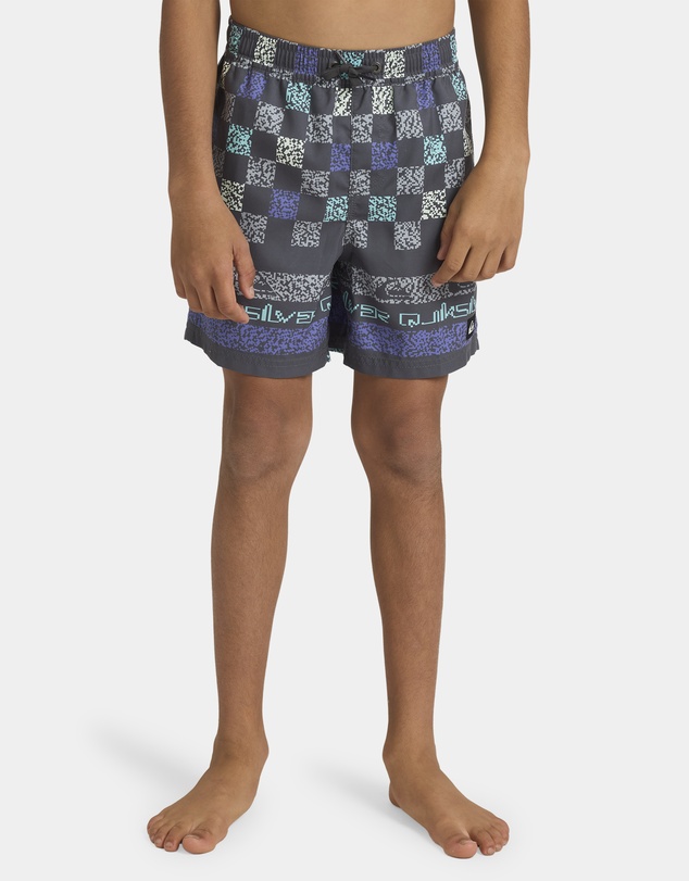 Quiksilver - Boys 8 to 16 Everyday 14