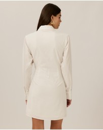 Tussah - Amanda Tuck Mini Dress