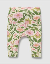 Wilson & Frenchy - Organic Leggings - Babies
