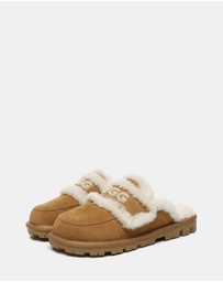 EVERAU - Australian Shepherd Ugg Rilee Men Cow Suede Upper UGG Boots
