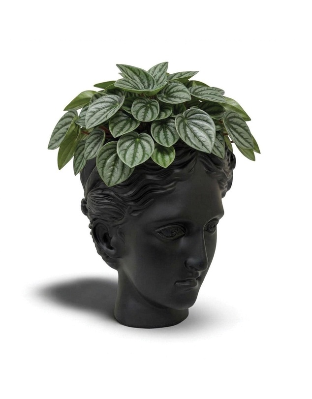 Urban Attitude - Urban Attitude Venus Head Planter - Matte Black