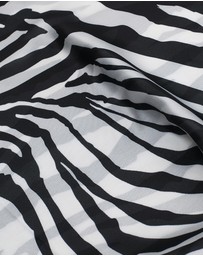 ALDO - Zebria Scarf