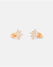 Daniel Wellington - Mirelle Star Earring RG