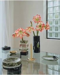 Greg Natale - Lily Candle Holder Brass Lacquered