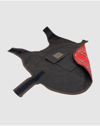 Jacaru - Jacaru 6510 Dog Coat